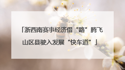 浙西南赛事经济借“路”腾飞 山区县驶入发展“快车道”